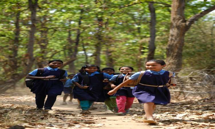 Education sows’ seeds of possibility, nurturing growth and unlocking potential